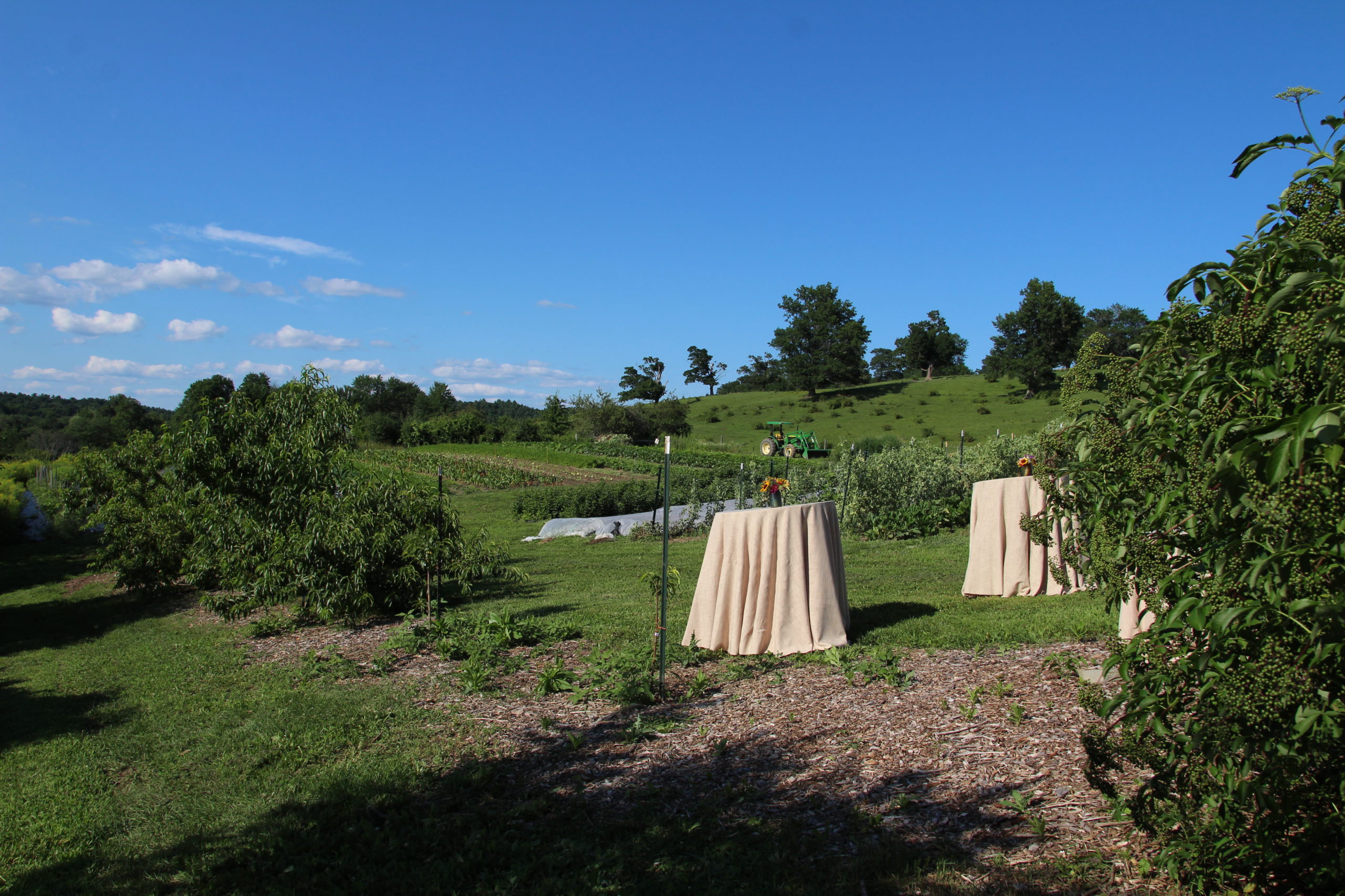Tables on the farm Gibbet Hill Grill