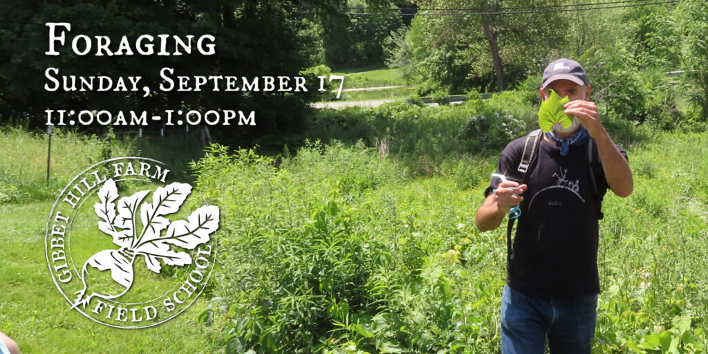 Gibbet Hill Farm Field School • Foraging Gibbet Hill Grill